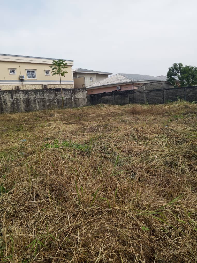 Terrain nu 1000m² en bordure de route pavetée dans la cité BGD. Titre foncier