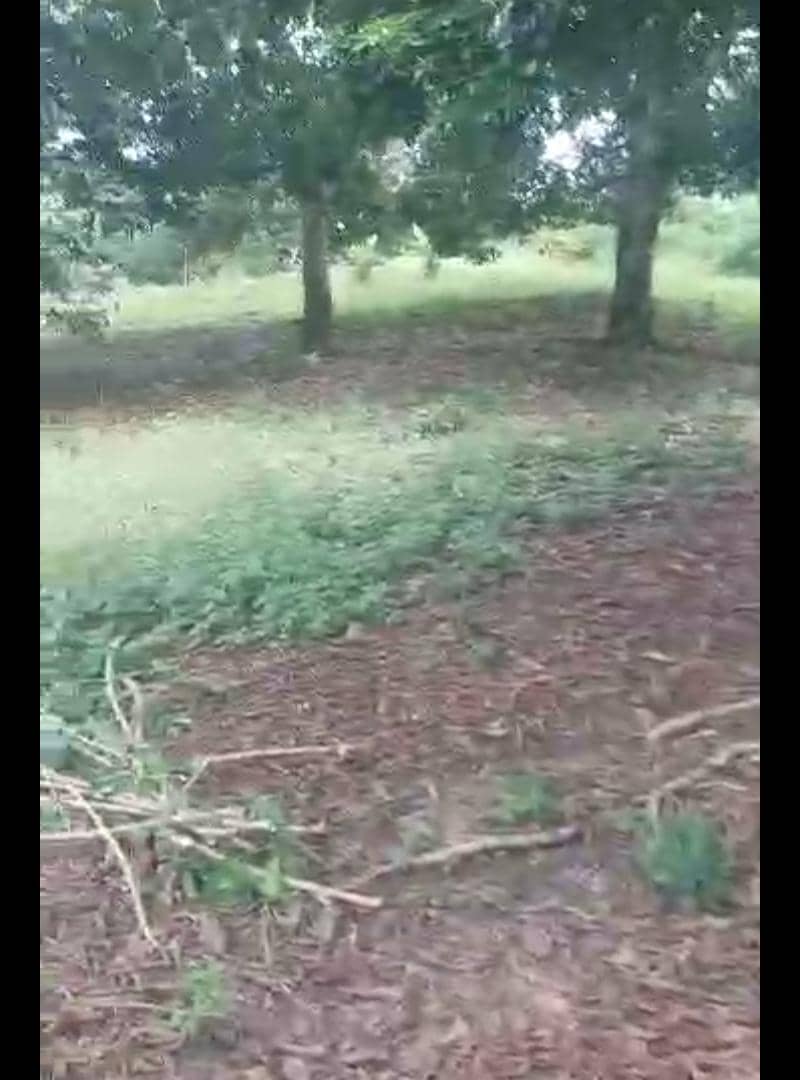 Terrain nu à vendre