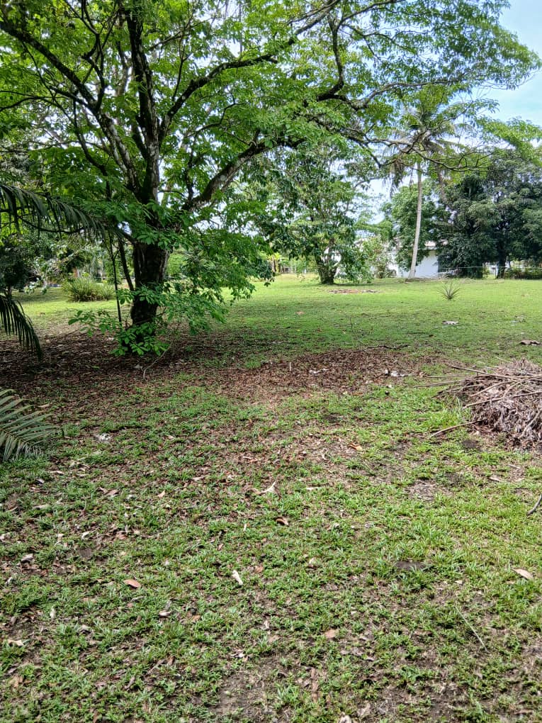 Terrain à vendre à OKALA RIVIÈRE