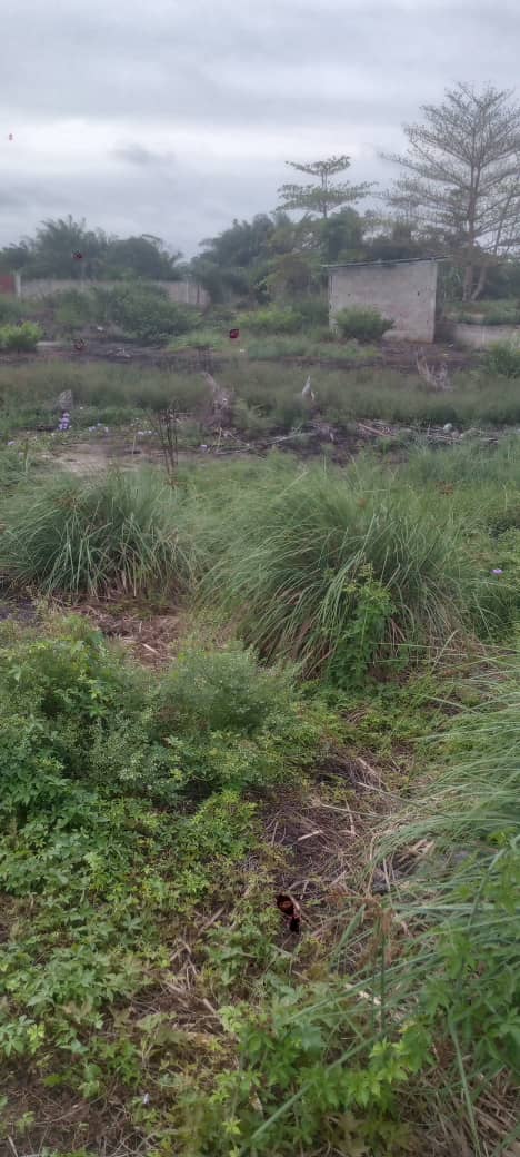 Terrain à vendre à La Sablière