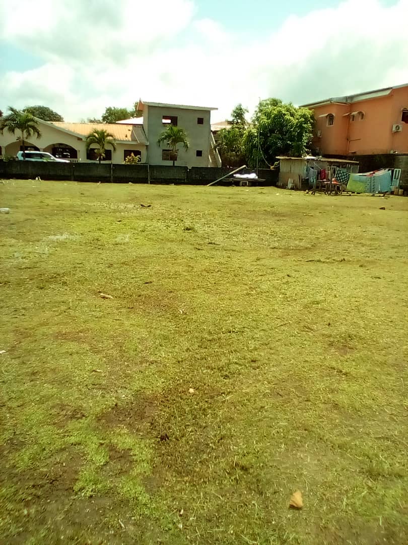 Terrain nu Clôturé à vendre à Angondjé SHERKO