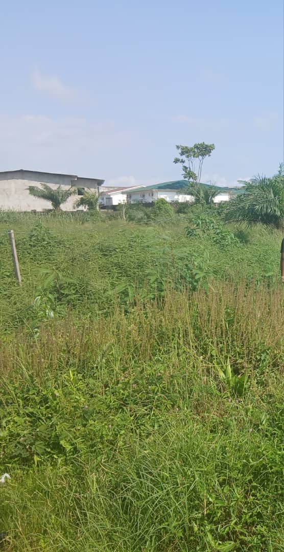 Terrain nu à vendre à Akanda (avorbam) MORCELABLE